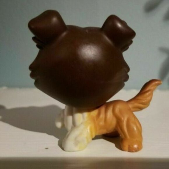 ❤️LITTLEST PET SHOP TALENTED Pets & Circus Tricks n' Talent Show Collie Dog #237 - Picture 5 of 6